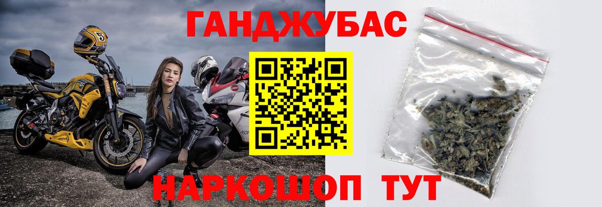 Каннабис планчик Славгород